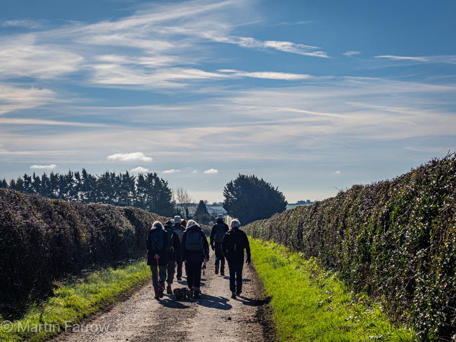 Ramblers walking down track